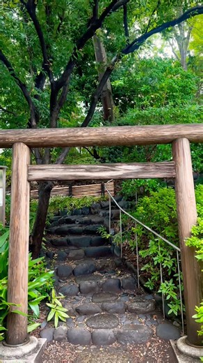 The Secret Kofun Shrine of Daikanyama | 代官山のど真ん中に眠る渋谷区唯一の現存前方後円墳・猿楽塚の上に佇む由緒ある古社「猿楽神社」渋谷区 東京散歩