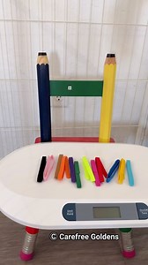 Such an emotional feeling. I can’t find one word to describe it. Please pray for Porsche🙏 Please give me time to reply any correspondence. | Carefree Goldens