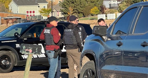 Multiple arrests made as crime ring is busted in Colorado