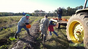 We are open till 10 p.m. tonight... It's a wonderful day for the Corn Maze or to pick pumpkins... Details about everything over at the website - http://bit.ly/YfarmCornMaze Check out the leader board for Corn Maze attempts and compete for a spot yourself as you go through the Corn Maze - http://mgnwp.com/1MY8503 If you have questions just let us know! | Yoders' Farm