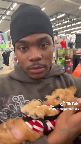 sparklespammfiless on TikTok