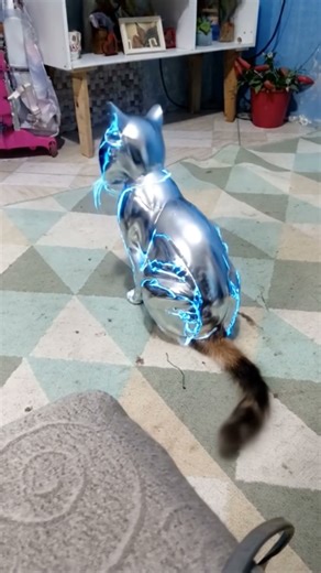 28 de novembro de 2025