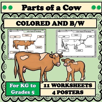 Cow Labeling Parts of Cow Worksheet Writing Graphic Organizers Farm Animals KG