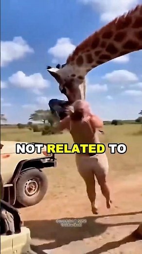 These animal facts are insane #facts #animalfacts #wildlife