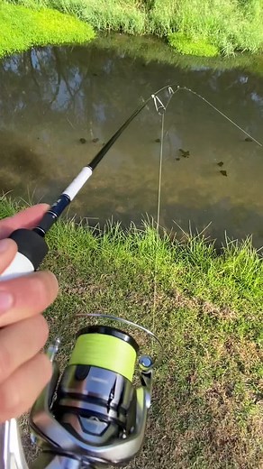 GIBBO’s_fishing on TikTok