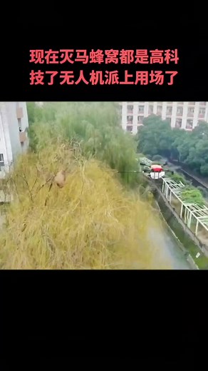 Drone Controlled Fire for Wasp Nest Removal