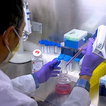 Video: Generation and Expansion of Human Cardiomyocytes from Patient Peripheral Blood Mononuclear Cells