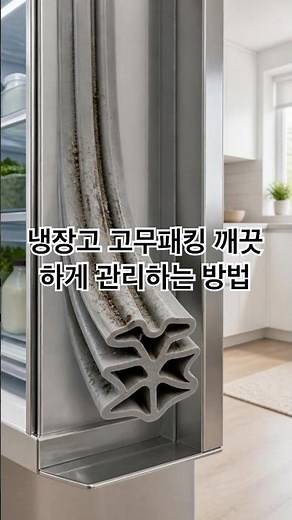 냉장고 고무패킹 깨끗하게 관리하는 방법