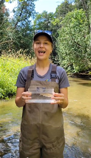 🎣 Virtual Field Trip: Meet the Humber River’s Fishy Locals! Join our Aquatic Monitoring team in the field virtually, as they introduce some of the fascinating fish species found in the Humber River and highlight their unique features. In this short reel, you’ll meet: Common Shiner – a shiny little show-off! Rock Bass – red-eyed and rocking those rocky hangouts. Stonecat – tiny catfish, big attitude (and venomous spines!). 🐟 Watch the reel to see these species up close and learn how we monitor 