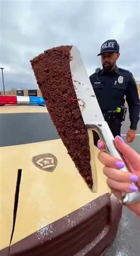 🇩🇰 Træstammer Cake Explained #cake #dessert #viral #reels #usa #shorts