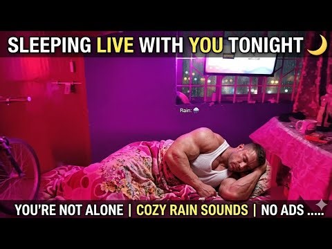 Sleeping Live With You Tonight 🌙 You're Not Alone | Cozy Rain Sounds | No Ads