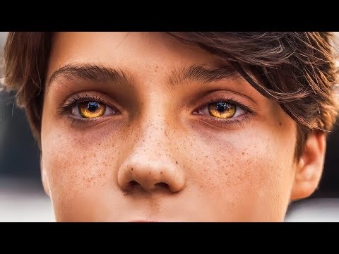 A boy discovers he can turn into a mountain lion, so he joins a school for superheroes only