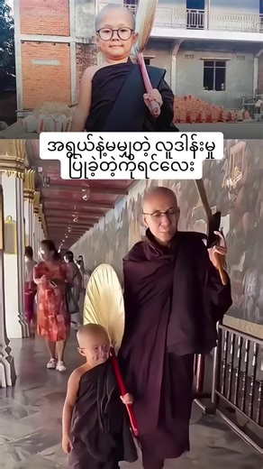 USA Flight on TikTok