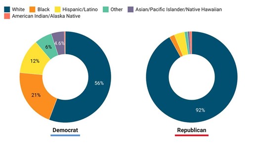 New faces on Capitol Hill: Demographics of the 119th Congress