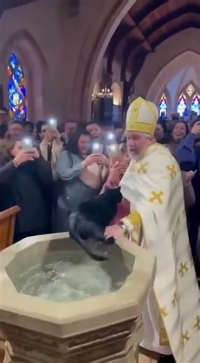Cat ATTACKS Priest, then F LIES Away! 😱 Unbelievable Baptism #comedy #unexpected