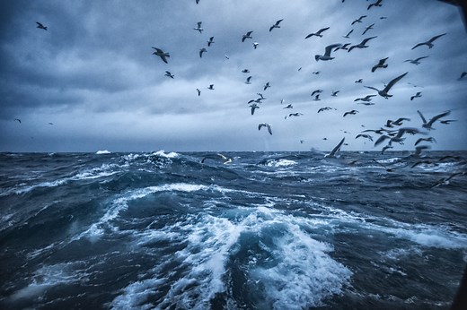 Quelle est la différence entre un océan et une mer? - MétéoMédia