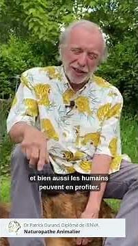 Invasion de puces : traiter l'environnement !