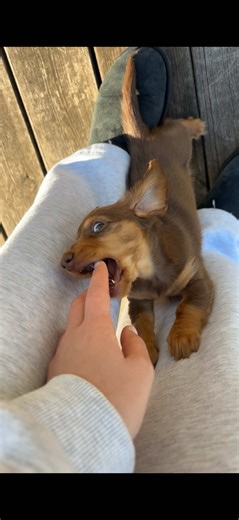 Pas touche à Azelle !