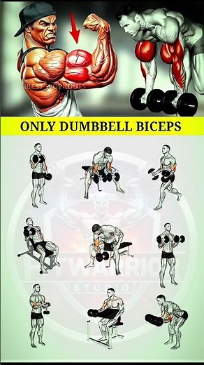 9 Best Bicep Exercises – Different Types for Bigger Arms | Biceps Workout Guide💪🏼