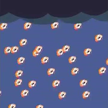ITS RAINING WOOMY