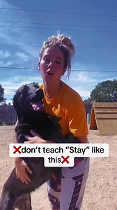 36K views · 491 reactions | A Smarter Dog Starts Here! Positive, science-backed training for all breeds. Learn More : https://en-braintrainingfordog.com/ | We Dog Trainer | Facebook
