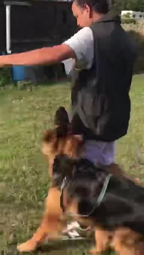 1.3K views · 43 reactions | Nuestro socio del rceppa Jesús y Bayron de Parayas con 7 meses ❤️ iniciando  | Real CEPPA Pagina | Facebook