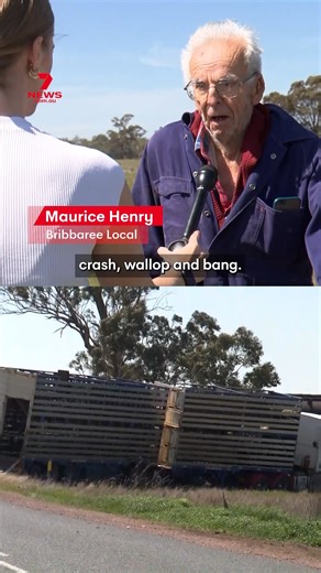 A freight train has derailed after colliding with a truck carrying livestock in the New South Wales Central West. #train #truck #sheep #crash #derailment | 7NEWS Australia