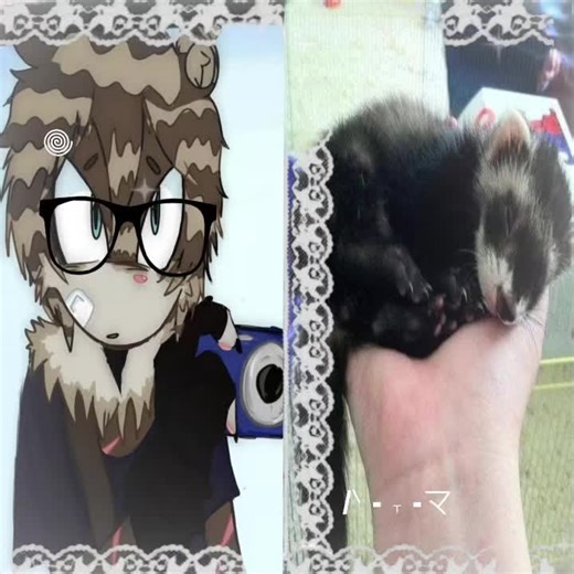 #CapCut Voz de Hirito (sigue siendo la misma por que no encontre otra) •᷄‎ࡇ•᷅ #ferret #voiceoc #sonicoc #sonic