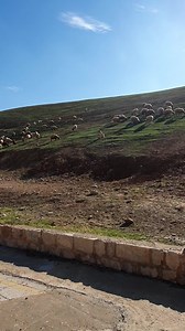 138K views · 3.5K shares | Shalom Javerim! Este video contiene...