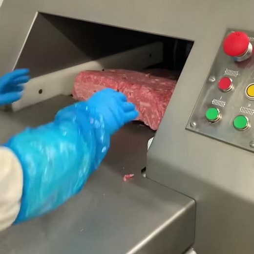 Lakidis FR300 Frozen Block Flaker