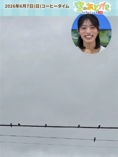 【空のあとがき】松本キャスターが気になったリポートは？6月7日 #通勤タイパ #松本真央