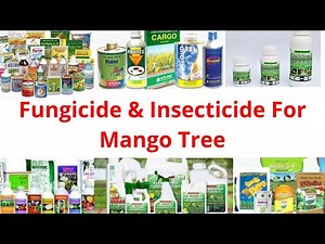 Fungicide And Insecticide For Mango Tree | मैंगो ट्री के लिए कवकनाशी और कीटनाशक स्प्रे