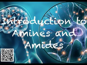 383 BCH3023 Introduction to Amines and Amides
