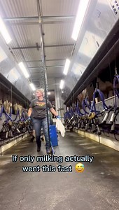 Milking happens every day, 4am and 4pm. There are no days off when you milk cows, but we love what we do. | Megan DairyGirl