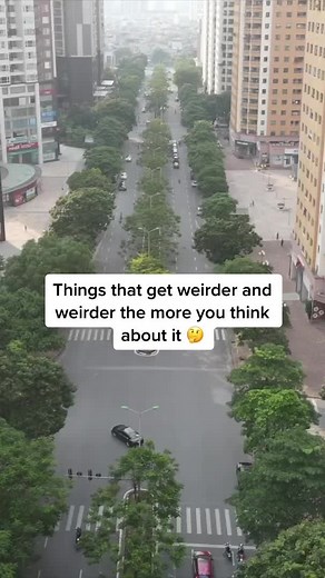 Weird Facts About Existence and Life