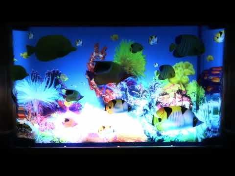 a thing I made in launchpad