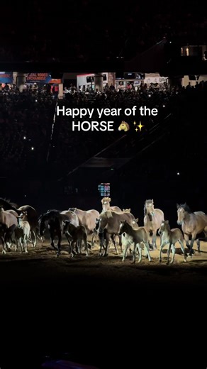 Happy Year of the Horse: A Celebration of Strength and Resilience