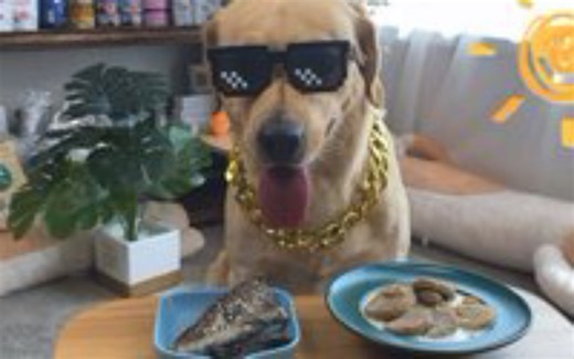 马克今天吃战斧牛排（完整版）