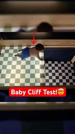 Why Babies Refuse to Crawl Over This Glass