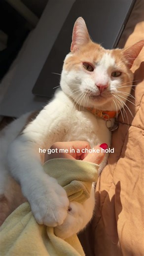 Chokehold Defense: Jeff Cena's AA Escape