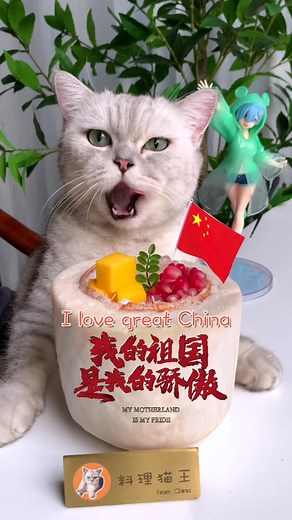 Adorable Cat Chef Opens Coconut in a Charming Way