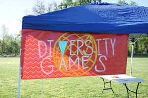 Diversity Games