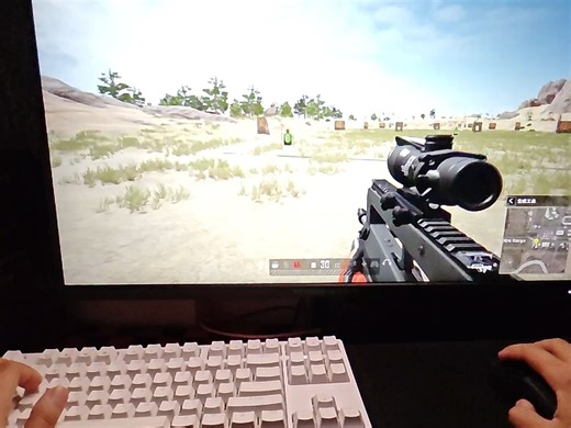 FAMAS-自动识别效果