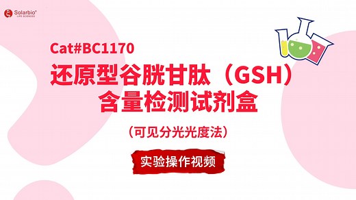 还原型谷胱甘肽（GSH）含量检测试剂盒【BC1170】-可见分光光度法实验操作视频