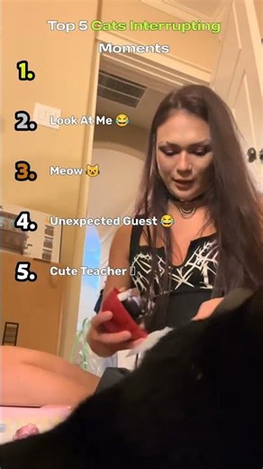 Top 5 Pets Interrupting Moments