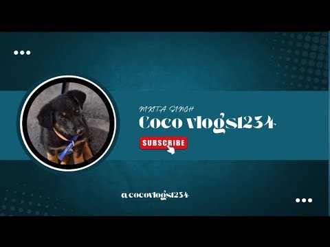 Wlcm to coco live all friends 🐺🦮🫡