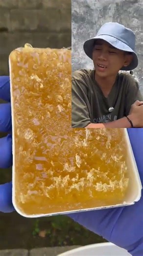 #shortvidio #vidioshort #tipetipeomped #funny