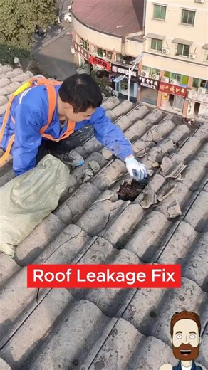 Leaking Roof? Fix Tiles Fast