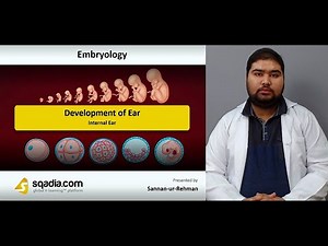Development of Ear | Internal Ear | Embryology Lecture | Medical V-Learning Platform
