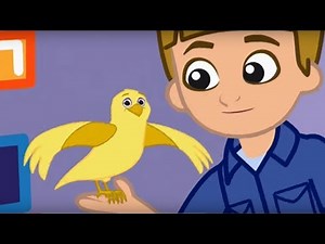 The Doodlebops Rockin' Road Show - Song Bird // Message Mess-Up | Kids Musical Cartoon Show